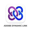 dynamicslink